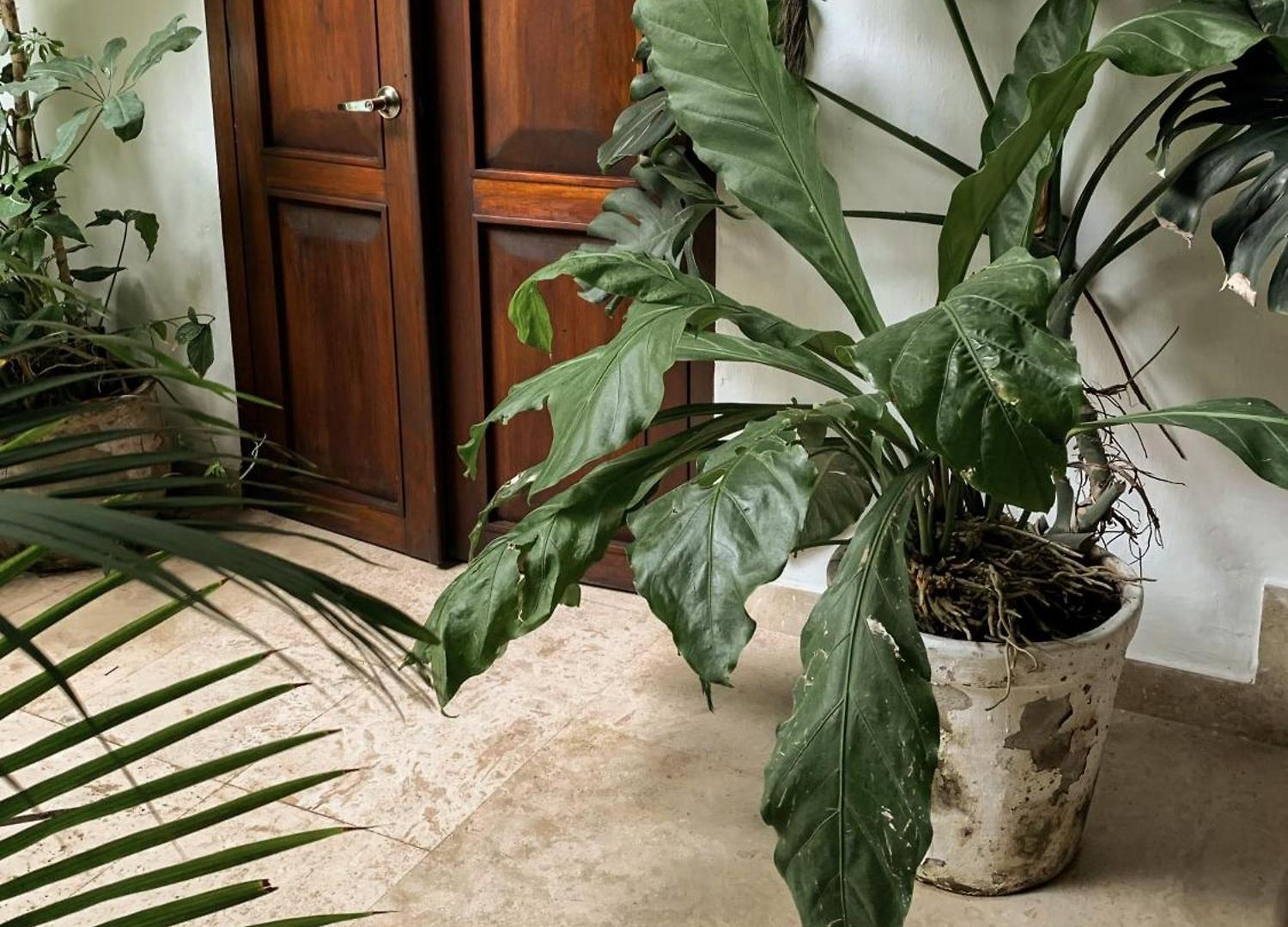 Hotel Boutique Casa Del Arzobispado 5*