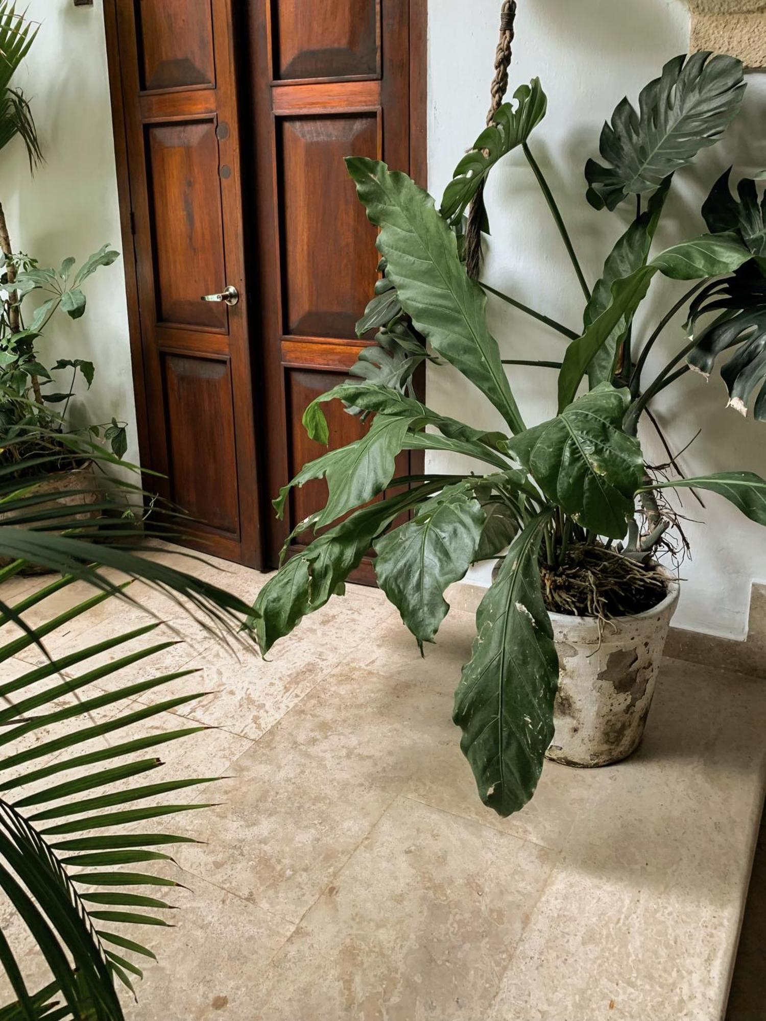 Hotel Boutique Casa Del Arzobispado 5*