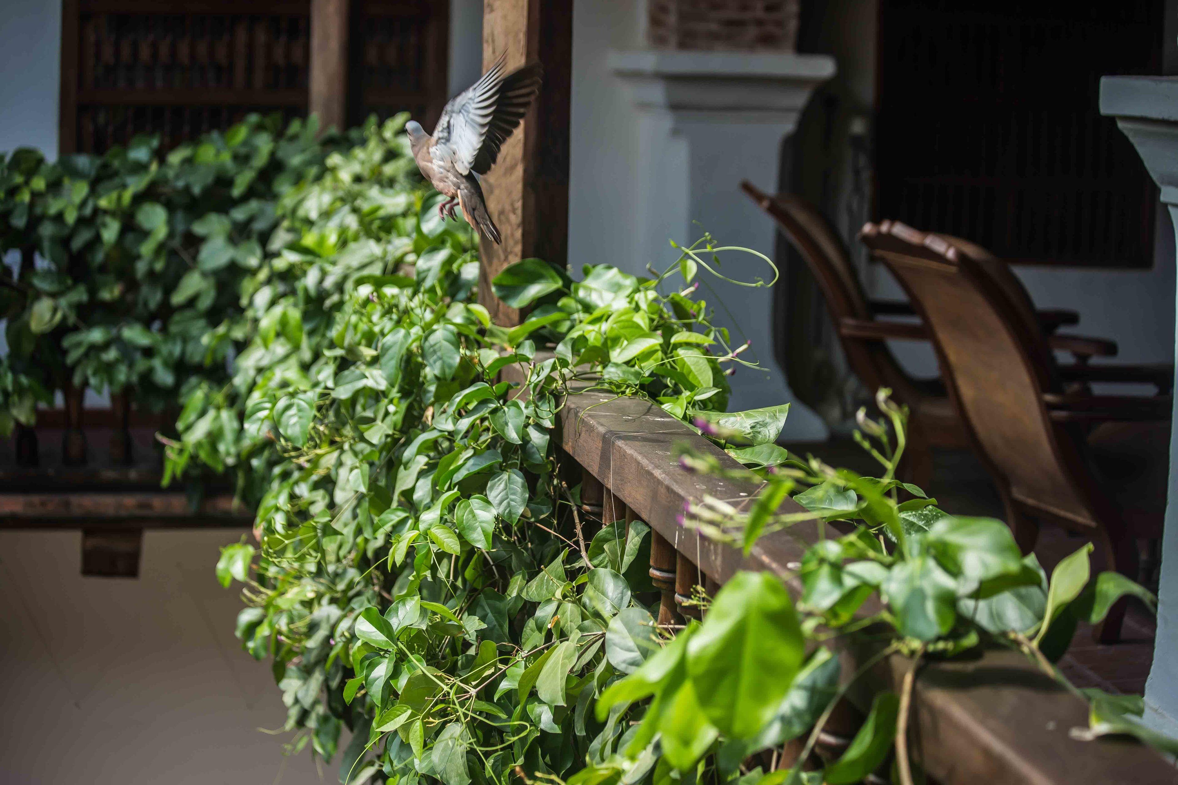 Boutique Casa Del Arzobispado Cartagena